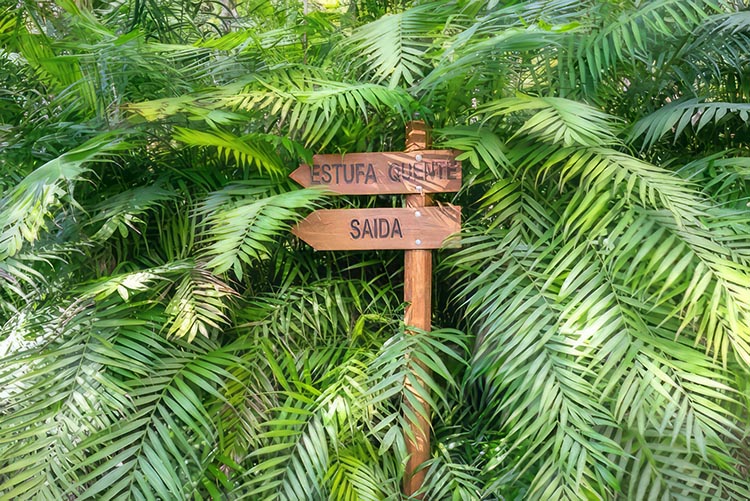 Mehr über den Artikel erfahren Der Estufa Fria Covered Botanischer Garten in Lissabon