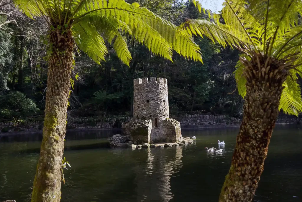 Der Pena Park in Sintra 1 Pena Park Ferne in Sintra