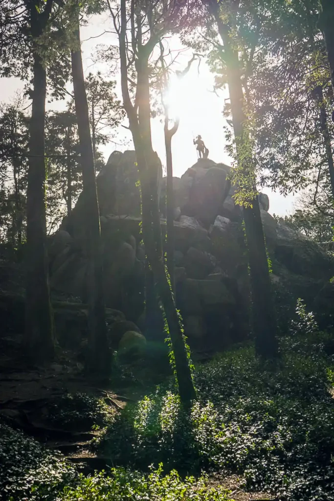 Der Pena Park in Sintra 13 04 Parque de Pena DSC05989