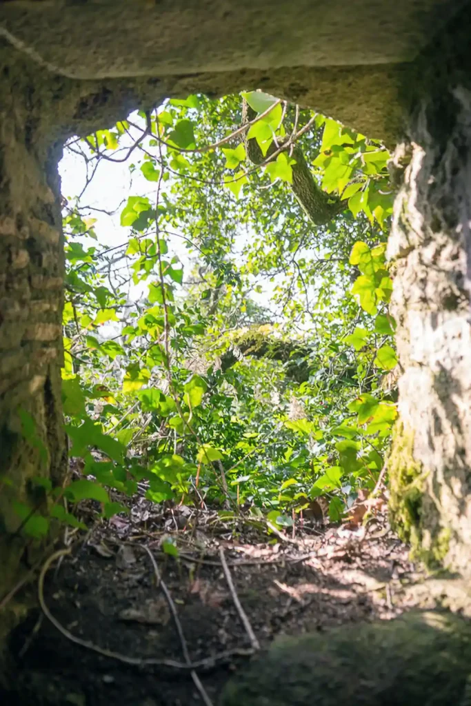 Der Pena Park in Sintra 10 11 Parque de Pena DSC06015