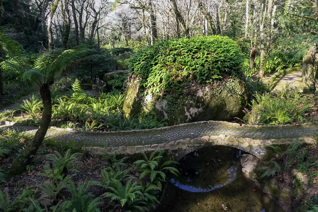 Der Pena Park in Sintra 8 23 Parque de Pena DSC06065