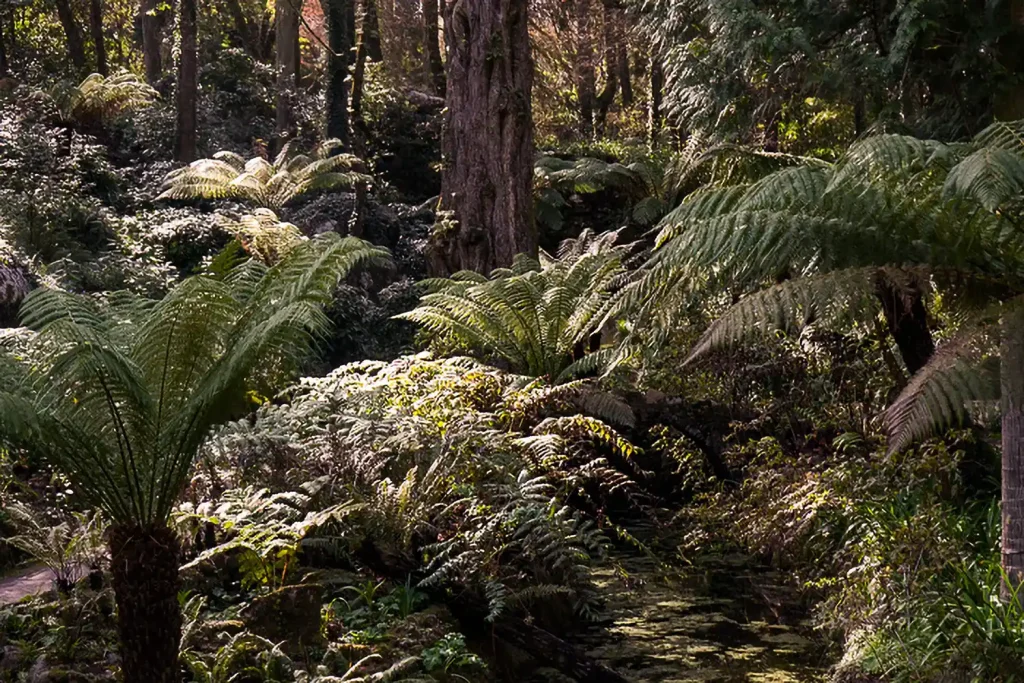 Der Pena Park in Sintra 6 26 Parque de Pena DSC06086 1