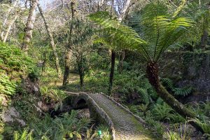 Mehr über den Artikel erfahren Der Pena Park in Sintra