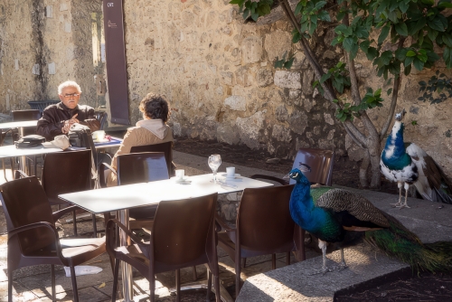 Restaurant Sao Jorge Burg